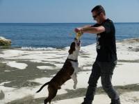 test big images < 2MB test big images < 2MB